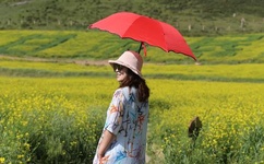 日日摸夜夜添夜夜添久久